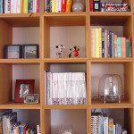organized