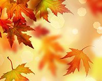 autumn leaves