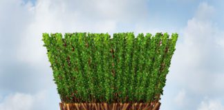 spring clean your home to add appeal