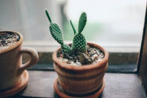 7 of the Best Loft Living Hacks for a Small Studio Space