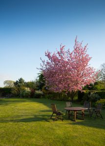 9 Easy Ways to Add Curb Appeal to Your Home
