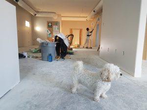 The Best Storage and Basement Organization Ideas For Your Home