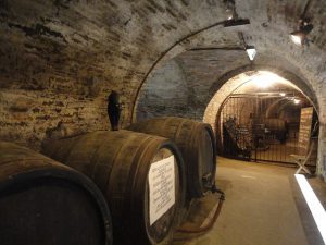 Choosing the Right Climate Control System for Your Wine Cellar