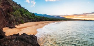 Your Ultimate Guide to Moving to Hawaii