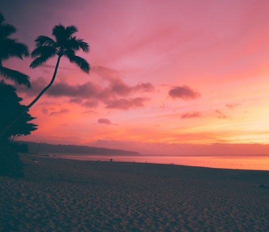 Your Ultimate Guide to Moving to Hawaii