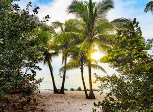 A Comprehensive Guide for People Looking to Relocate to Florida