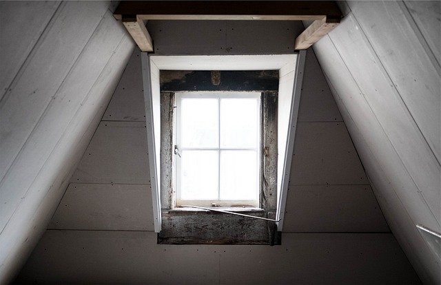 What to Store in Your Attic, Basement, and Garage