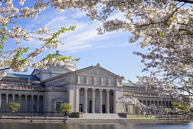 Here's What You Need to Know About Moving to Chicago