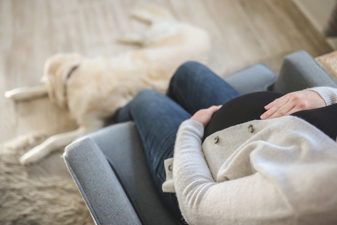 moving while pregnant