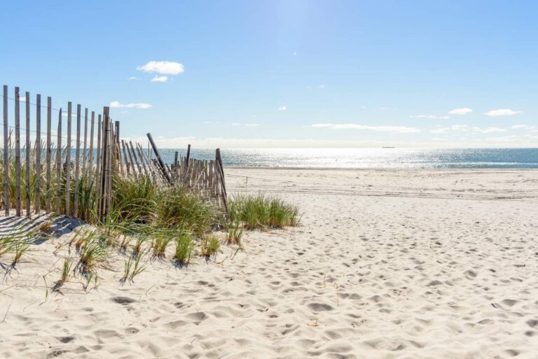 Sand dunes overlooking a sandy beach.